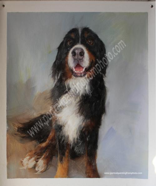 19, dog portrait 19