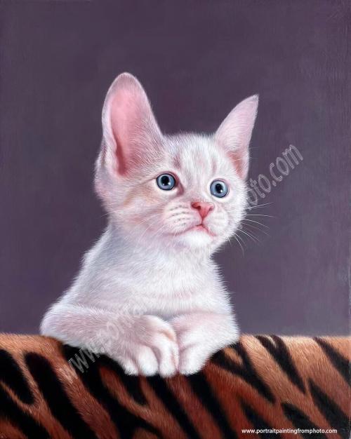 20, kitten portrait on canvas 20